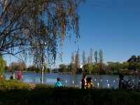 Floriade2013-113 : 2013, Canberra, Floriade