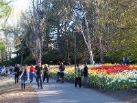 Floriade2013-118 : 2013, Canberra, Floriade