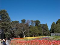 Floriade2013-12-2 : 2013, Canberra, Floriade