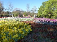 Floriade2013-12 : 2013, Canberra, Floriade