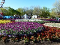 Floriade2013-13 : 2013, Canberra, Floriade