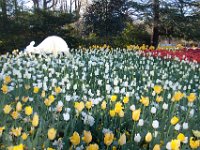 Floriade2013-135 : 2013, Canberra, Floriade