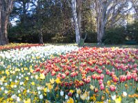 Floriade2013-137 : 2013, Canberra, Floriade