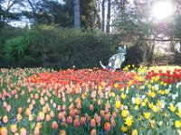 Floriade2013-139 : 2013, Canberra, Floriade