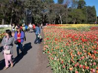 Floriade2013-14 : 2013, Canberra, Floriade