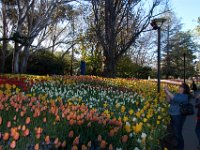 Floriade2013-141 : 2013, Canberra, Floriade