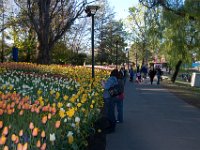 Floriade2013-144 : 2013, Canberra, Floriade