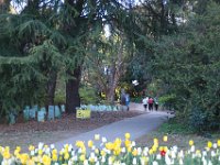 Floriade2013-145 : 2013, Canberra, Floriade