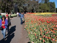 Floriade2013-15-2 : 2013, Canberra, Floriade