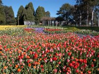 Floriade2013-16-2 : 2013, Canberra, Floriade