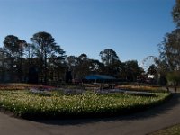 Floriade2013-174 : 2013, Canberra, Floriade