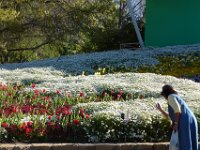 Floriade2013-18 : 2013, Canberra, Floriade