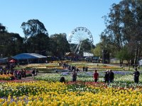 Floriade2013-2 : 2013, Canberra, Floriade