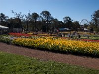 Floriade2013-22-2 : 2013, Canberra, Floriade