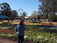 Floriade2013-37-2 : 2013, Canberra, Floriade