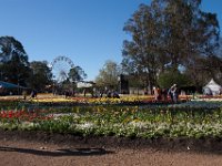 Floriade2013-38-2 : 2013, Canberra, Floriade