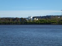 Floriade2013-38 : 2013, Canberra, Floriade