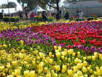 Floriade2013-5 : 2013, Canberra, Floriade