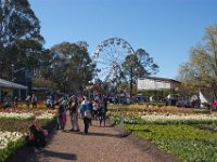 Floriade2013-53 : 2013, Canberra, Floriade