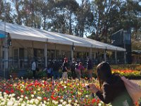 Floriade2013-55 : 2013, Canberra, Floriade