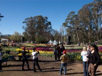 Floriade2013-7 : 2013, Canberra, Floriade