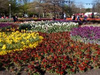 Floriade2013-70 : 2013, Canberra, Floriade