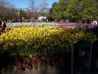 Floriade2013-72 : 2013, Canberra, Floriade