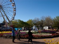 Floriade2013-74 : 2013, Canberra, Floriade