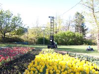 Floriade2013-83 : 2013, Canberra, Floriade