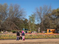 Floriade2013-88 : 2013, Canberra, Floriade