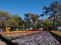 Floriade2013-90 : 2013, Canberra, Floriade