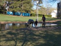 Floriade2013-93 : 2013, Canberra, Floriade