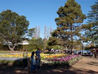 Floriade2013-95 : 2013, Canberra, Floriade