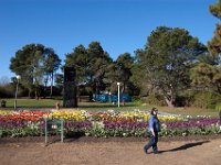 Floriade2013-96 : 2013, Canberra, Floriade