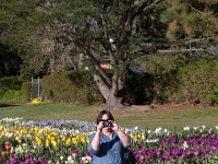 Floriade2013-97 : 2013, Canberra, Floriade