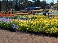 Floriade2013  Floraide 2013 : 2013, Canberra, Floriade