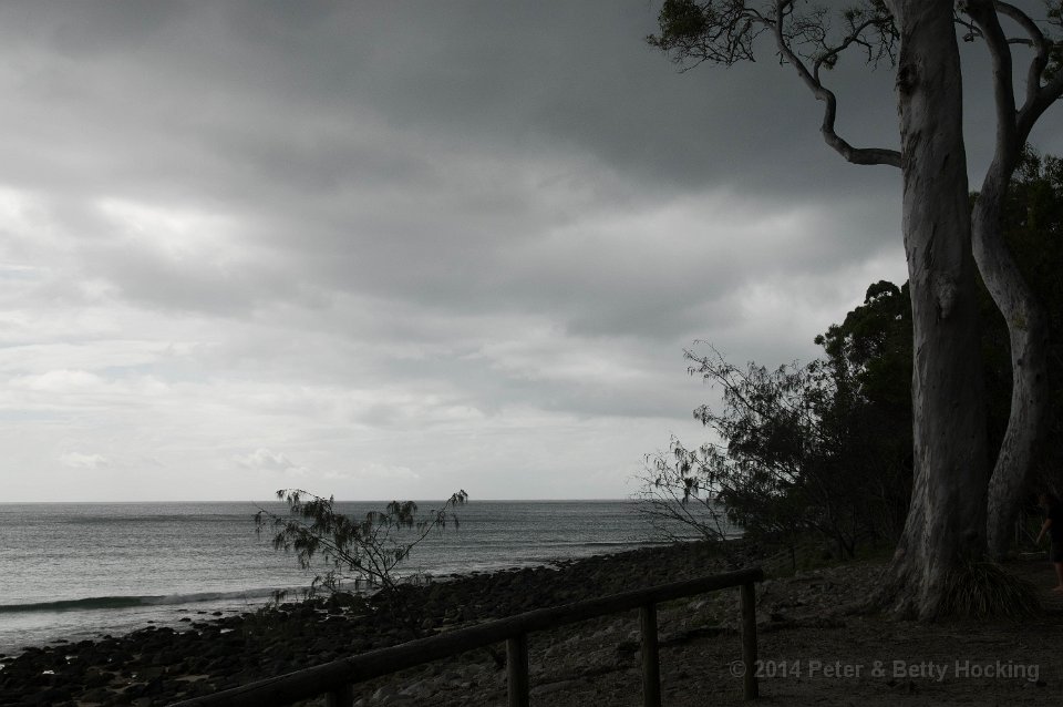 Noosa2014-23