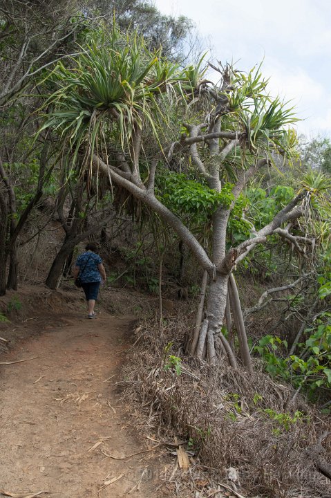 Noosa2014-58