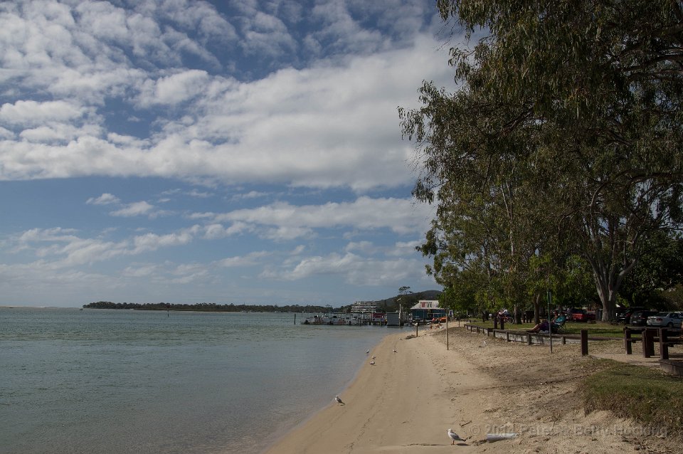 Noosa2014-95