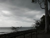 Noosa2014-23.jpg