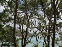 Noosa2014-64.jpg