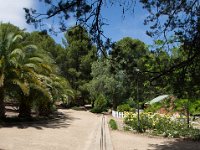 WaggaNov2014-69 : Botanic Garden, Wagga, flowers