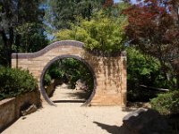 WaggaNov2014-80 : Botanic Garden, Wagga, flowers