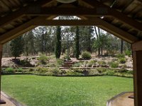 WaggaNov2014-86 : Botanic Garden, Wagga, flowers