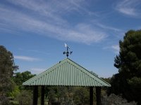 WaggaNov2014-96 : Botanic Garden, Wagga, flowers