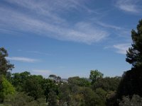 WaggaNov2014-98 : Botanic Garden, Wagga, flowers