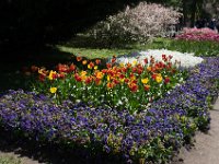 TulipTopGardens2016-10