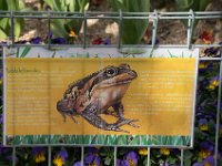 TulipTopGardens2016-105