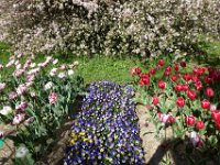 TulipTopGardens2016-183