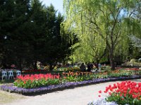 TulipTopGardens2016-56